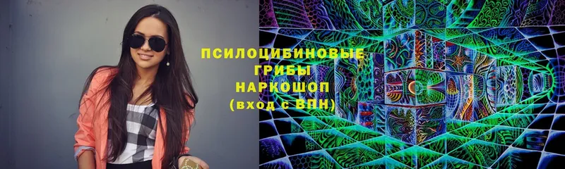 Галлюциногенные грибы Magic Shrooms  Богданович 